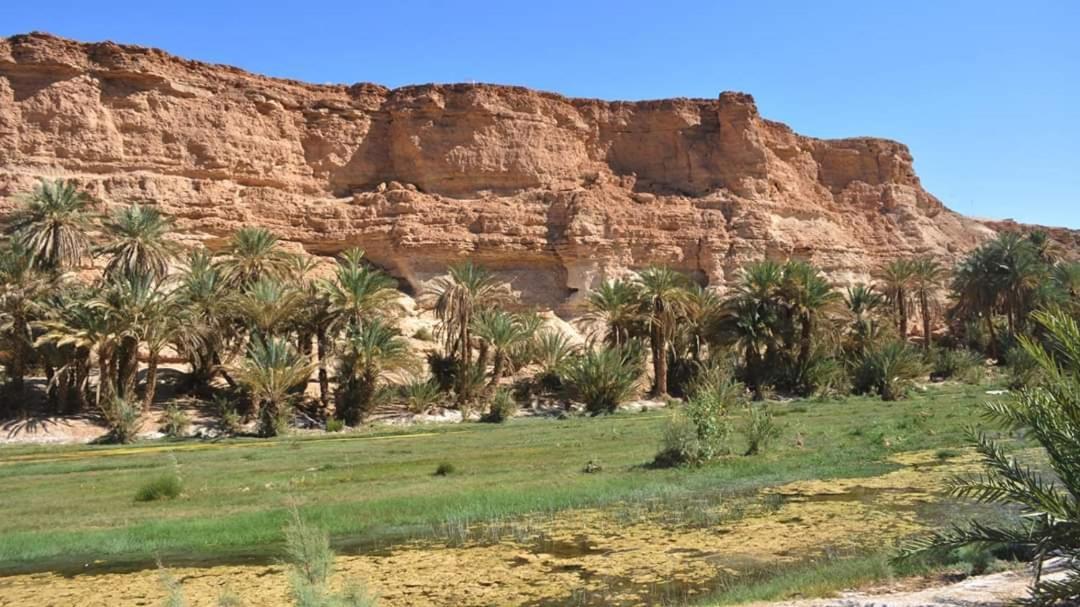 Amoudou Lodge Camp Tissint エクステリア 写真