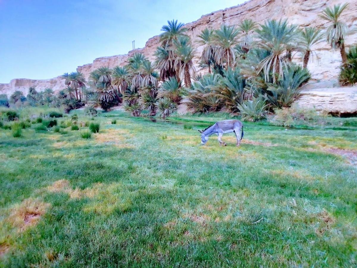 Amoudou Lodge Camp Tissint エクステリア 写真