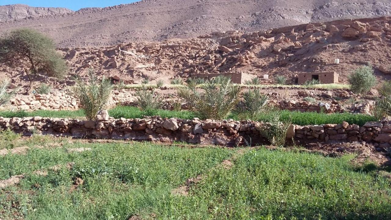 Amoudou Lodge Camp Tissint エクステリア 写真