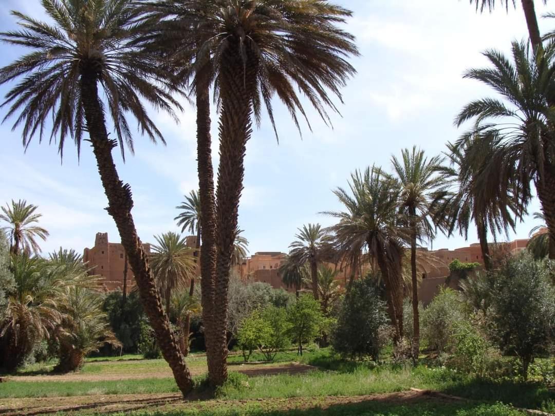 Amoudou Lodge Camp Tissint エクステリア 写真