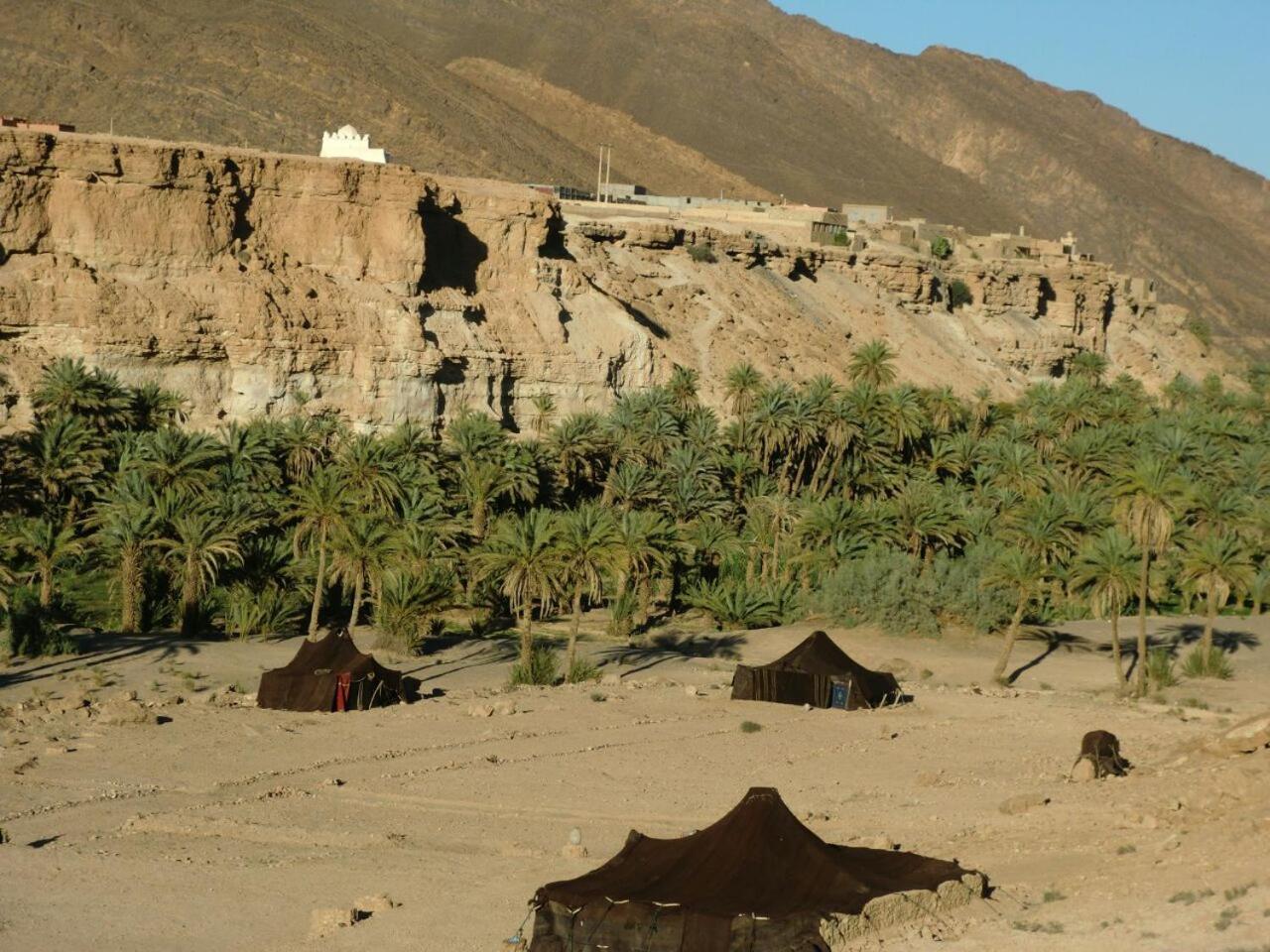 Amoudou Lodge Camp Tissint エクステリア 写真
