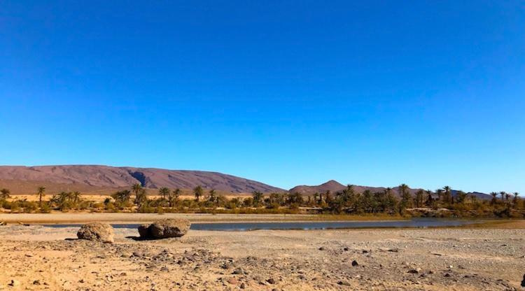 Amoudou Lodge Camp Tissint エクステリア 写真