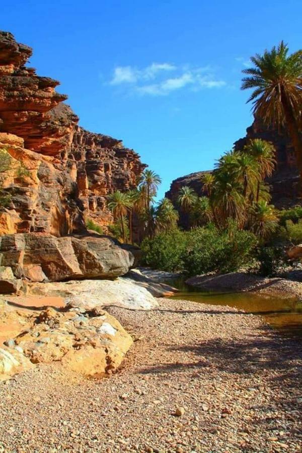 Amoudou Lodge Camp Tissint エクステリア 写真
