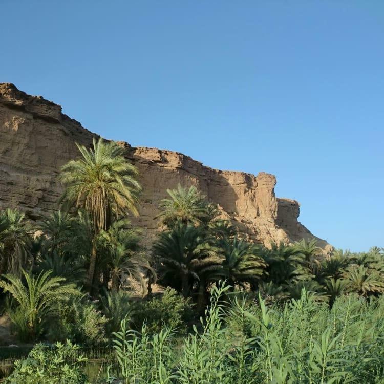 Amoudou Lodge Camp Tissint エクステリア 写真